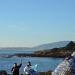 Cambria_0204 (November 03, 2012)